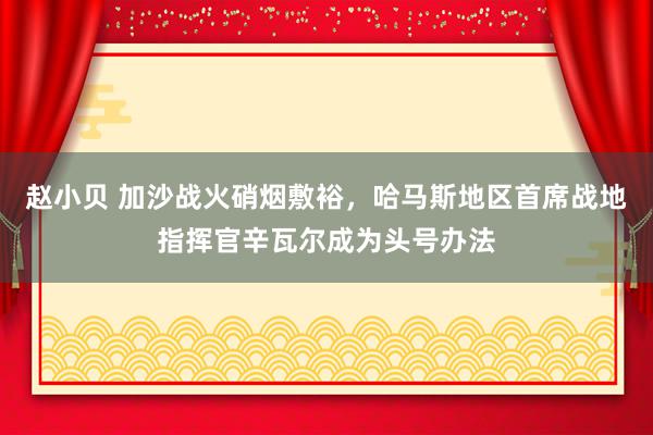 赵小贝 加沙战火硝烟敷裕，哈马斯地区首席战地指挥官辛瓦尔成为头号办法