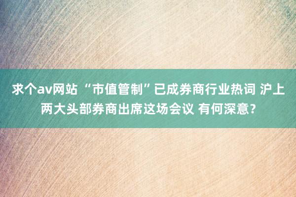 求个av网站 “市值管制”已成券商行业热词 沪上两大头部券商出席这场会议 有何深意？