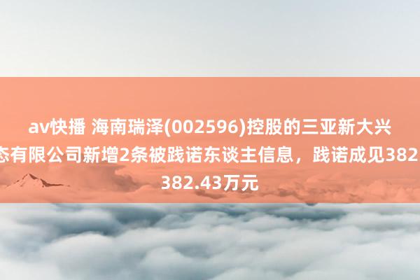 av快播 海南瑞泽(002596)控股的三亚新大兴园林生态有限公司新增2条被践诺东谈主信息，践诺成见382.43万元