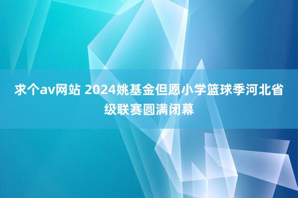 求个av网站 2024姚基金但愿小学篮球季河北省级联赛圆满闭幕