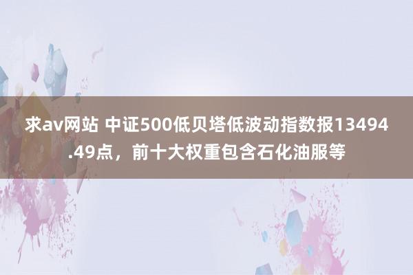 求av网站 中证500低贝塔低波动指数报13494.49点，前十大权重包含石化油服等