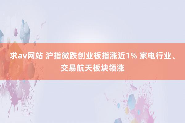 求av网站 沪指微跌创业板指涨近1% 家电行业、交易航天板块领涨