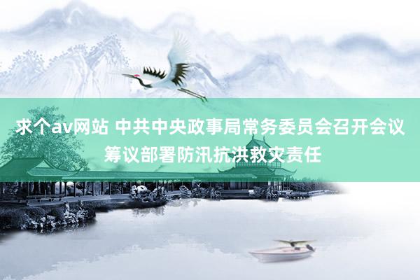 求个av网站 中共中央政事局常务委员会召开会议 筹议部署防汛抗洪救灾责任