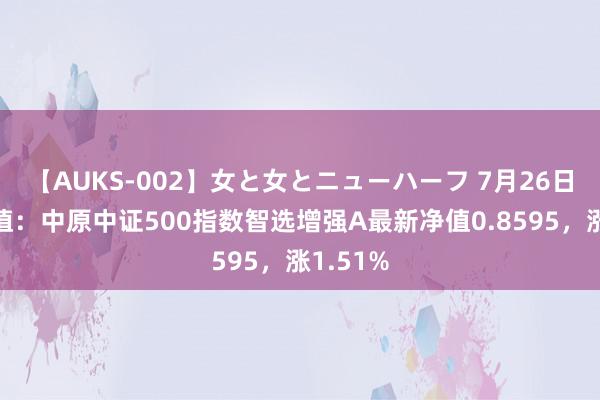 【AUKS-002】女と女とニューハーフ 7月26日基金净值：中原中证500指数智选增强A最新净值0.8595，涨1.51%