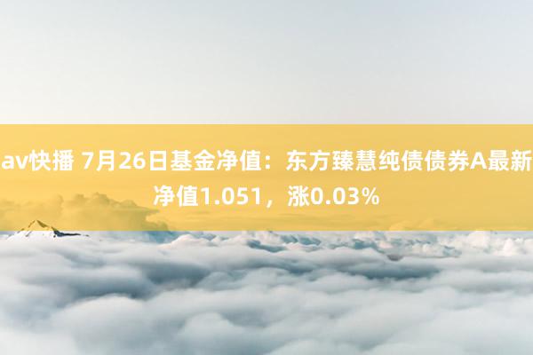 av快播 7月26日基金净值：东方臻慧纯债债券A最新净值1.051，涨0.03%