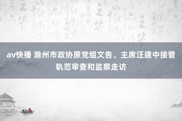 av快播 滁州市政协原党组文告、主席汪建中接管轨范审查和监察走访