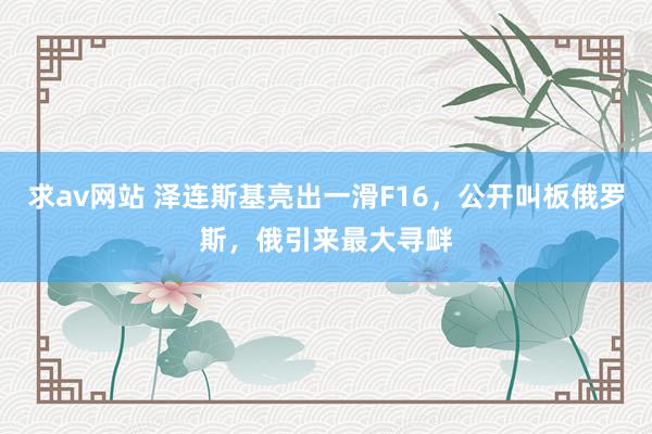 求av网站 泽连斯基亮出一滑F16，公开叫板俄罗斯，俄引来最大寻衅