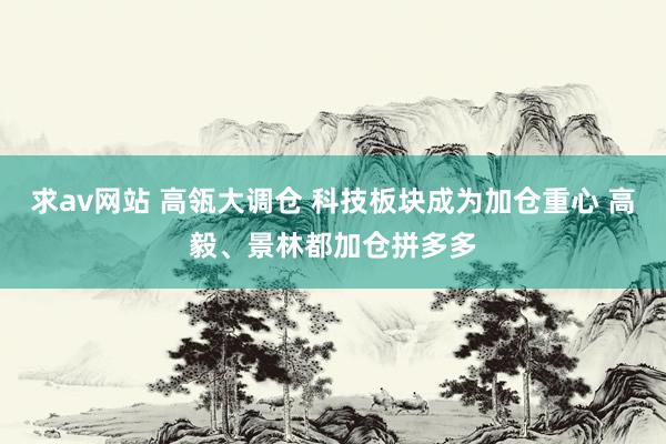 求av网站 高瓴大调仓 科技板块成为加仓重心 高毅、景林都加仓拼多多