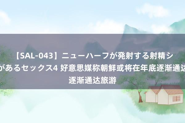 【SAL-043】ニューハーフが発射する射精シーンがあるセックス4 好意思媒称朝鲜或将在年底逐渐通达旅游