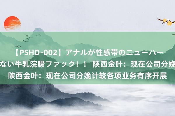 【PSHD-002】アナルが性感帯のニューハーフ美女が泣くまでやめない牛乳浣腸ファック！！ 陕西金叶：现在公司分娩计较各项业务有序开展