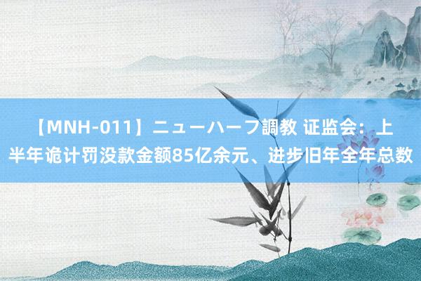 【MNH-011】ニューハーフ調教 证监会：上半年诡计罚没款金额85亿余元、进步旧年全年总数