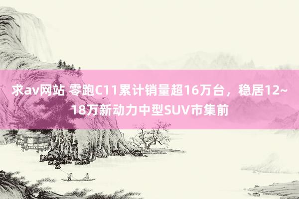 求av网站 零跑C11累计销量超16万台，稳居12~18万新动力中型SUV市集前