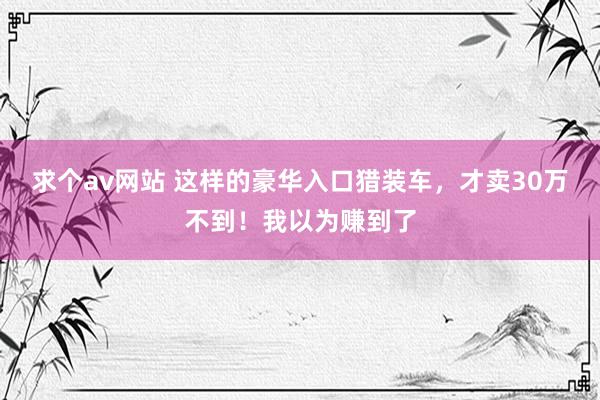 求个av网站 这样的豪华入口猎装车，才卖30万不到！我以为赚到了