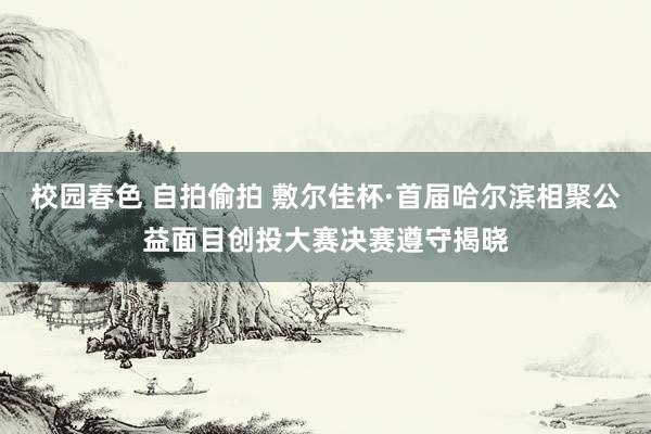 校园春色 自拍偷拍 敷尔佳杯·首届哈尔滨相聚公益面目创投大赛决赛遵守揭晓