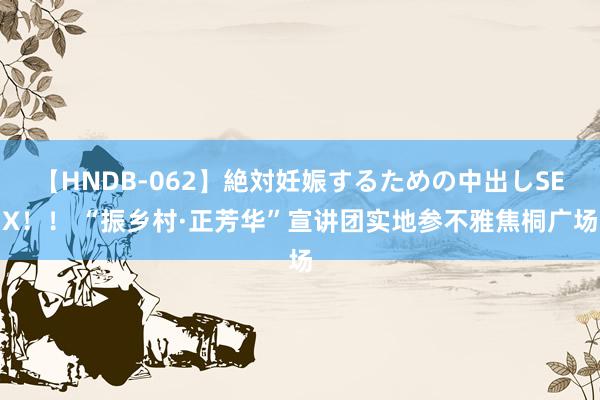 【HNDB-062】絶対妊娠するための中出しSEX！！ “振乡村·正芳华”宣讲团实地参不雅焦桐广场