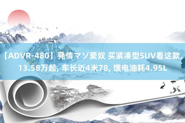 【ADVR-480】発情マゾ愛奴 买紧凑型SUV看这款, 13.58万起, 车长近4米78, 馈电油耗4.95L