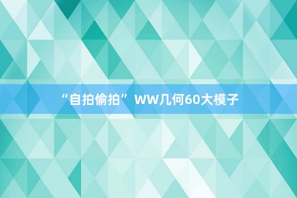 “自拍偷拍” WW几何60大模子