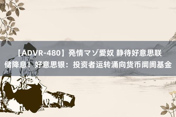 【ADVR-480】発情マゾ愛奴 静待好意思联储降息！好意思银：投资者运转涌向货币阛阓基金