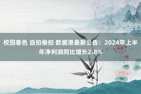 校园春色 自拍偷拍 数据港最新公告：2024年上半年净利润同比增长2.8%